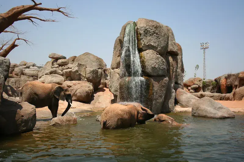 Bioparc-Valencia